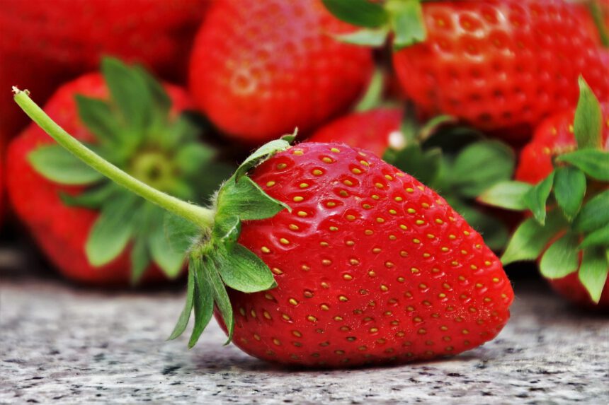 strawberries, fruit, season